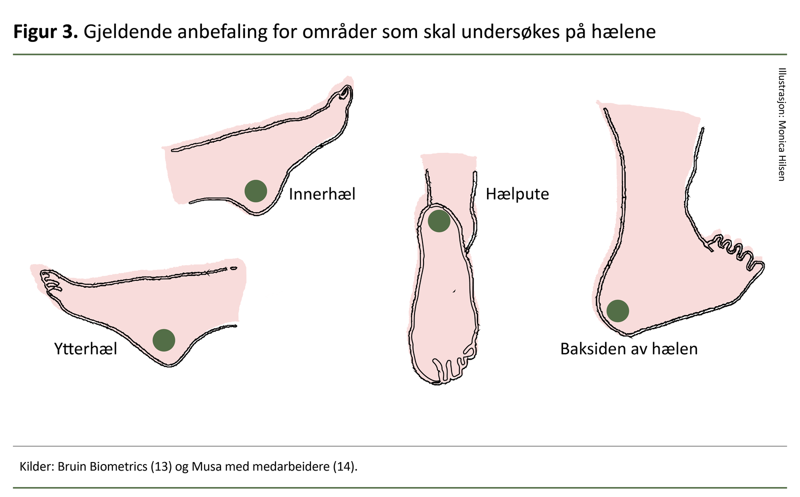 Bruin Biometrics (13) og Musa med medarbeidere (14)