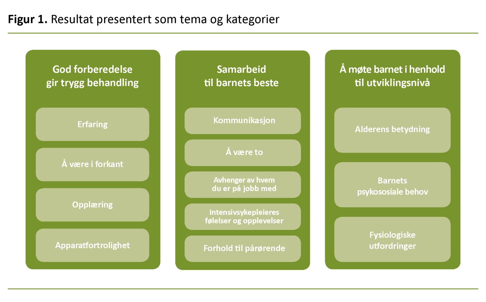 Figur 1. Resultat presentert som tema og kategorier