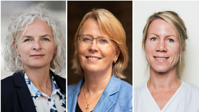 bilde av studiestedsledere