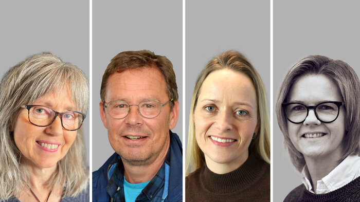 Bildet viser Vatnøy, Karlsen, Skinner og Jeppestøl. 