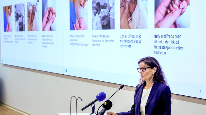 Bildet vise helsedirektør Cathrine M. Lofthus