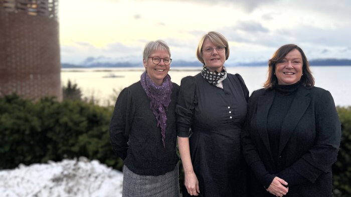 bildet viser ansatte ved Høgskolen i Molde