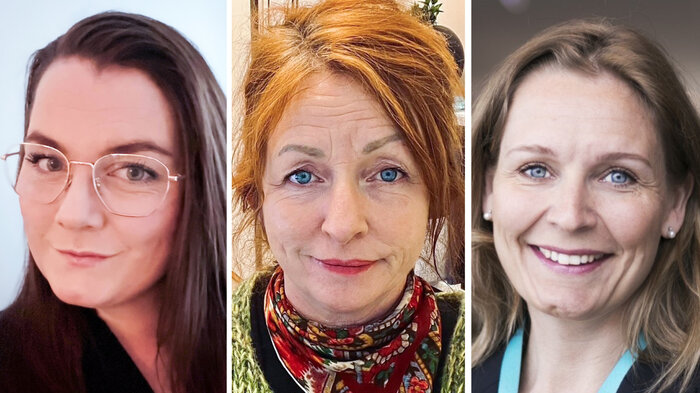 bildet viser de tre forfatterne