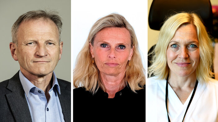 Bildet viser Eivind Hansen, Lisbeth Sommervoll og Trine Olsen.