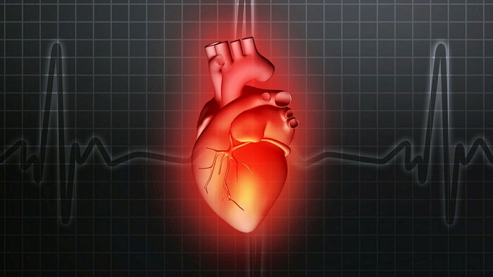 Illustrasjon av et hjerte