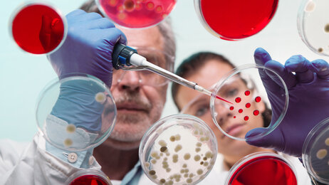 Bildet viser to forskere i et laboratorium