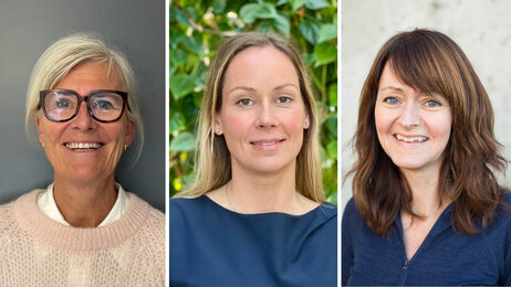 Bildet viser de tre innleggsforfatterne