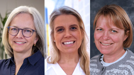 Bildet viser portretter av de tre innleggsforfatterne