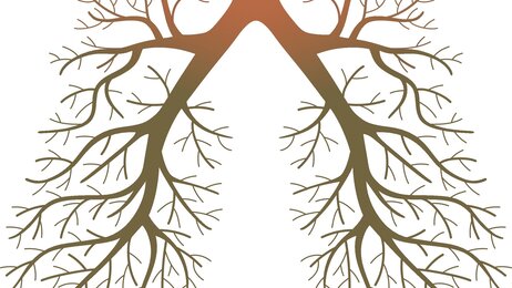 Illustrasjon av lunger i form av et tre med greiner