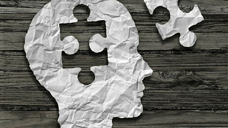 Hodet med puslespill