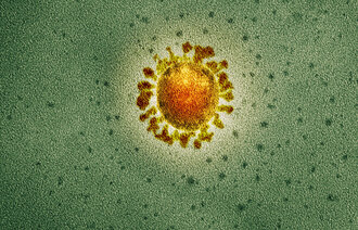 Covid-19 coronavirus