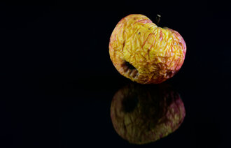 Bildet viser et gammelt skrukkete eple på sort bakgrunn