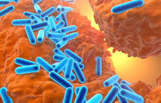 Pseudomonas aeruginosa