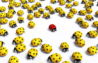 Illustrasjonen viser en rød marihøne som står alene i sentrum og er omgitt av mange gule marihøner