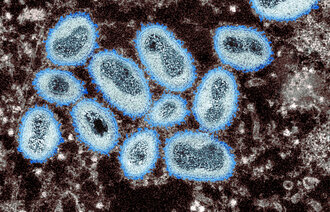 Bildet viser apekopper.