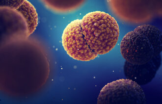 Bildet viser meningokokker.