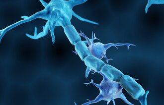 Bildet viser en illustrasjon av MS