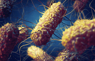 Illustrasjonen viser salmonellabakterier.