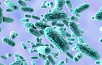 Illustrasjonen viser Bordetella Pertussis.