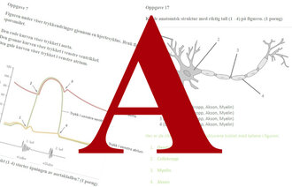 bilde av anatomioppgaver og bokstaven A