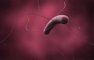 Bildet viser Clostridioides difficile (C. difficile)