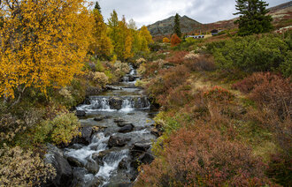  Høstfarger i Gravdalen på fjellet mellom Kvam og Vinstra i Gudbrandsdalen