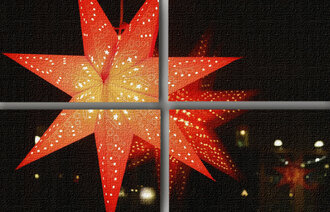 Bilde av julestjerne