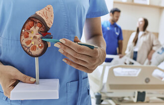 Bilde av sykepleier med modell av nyre