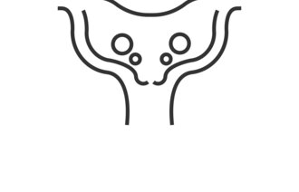 Tegningen viser en livmor med livmorhals.