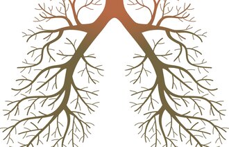 Illustrasjon av lunger i form av et tre med greiner