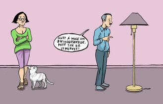 Illustrasjonen viser en sint dame som står og ser på sin mann, som sier følgende vendt mot stålampen: "Slutt å mase om øyeundersøkelse. Mitt syn er utmerket!"