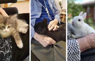 bildet viser katt og kaniner på fanget til beboere ved Lund sykehjem