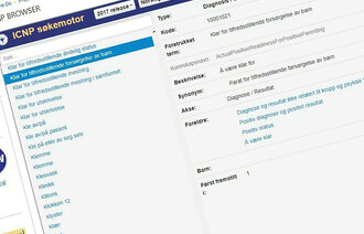 Faksimile av skjermbilde fra ICNs ICNP-browser.
