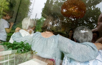 Eldre personer sett bakfra gjennom et vindu.