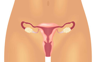 Bildet viser underdelen av en kvinnekropp, hvor det er tegnet inn reproduktive organer.