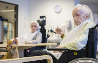 Eldre kvinne på Bergsodden livsgledehjem studerer en katt foran seg mens hun spiser.