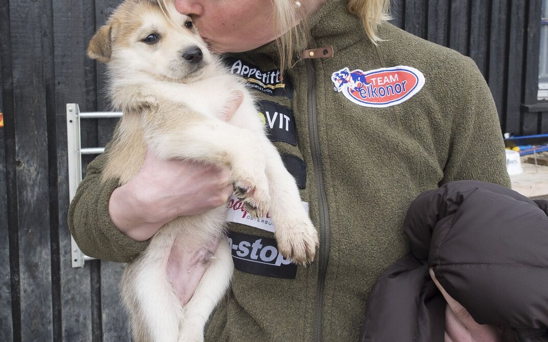 Birgitte koser med en av hvalpene