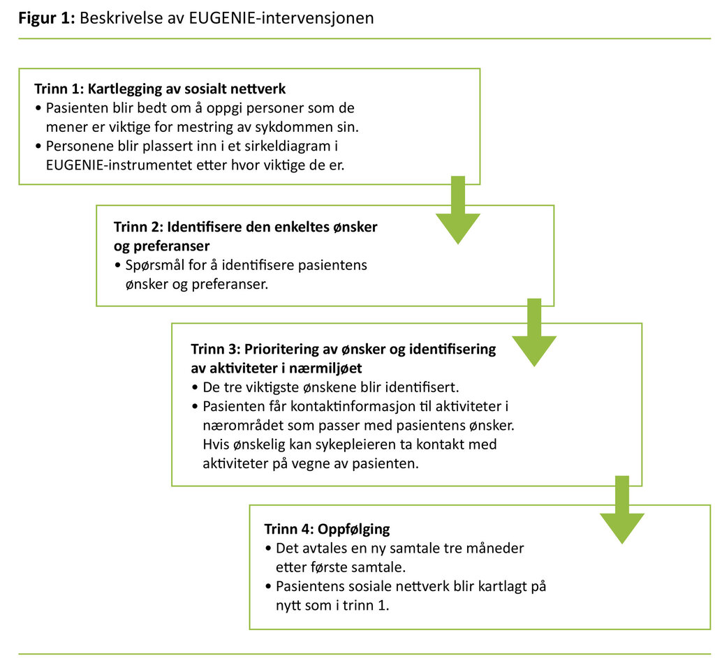 Figur 1. Beskrivelse av EUGENIE-intervensjonen