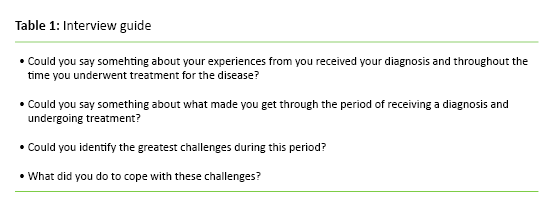 Table 1: Interview guide