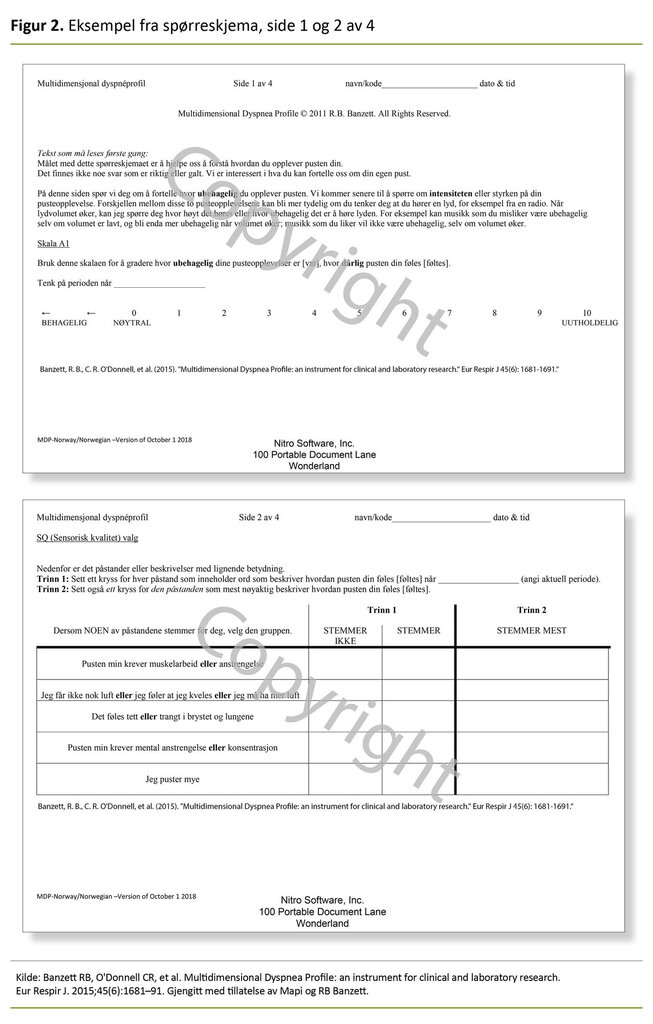 Figur 2. Eksempel fra spørreskjema, side 1 og 2 av 4 