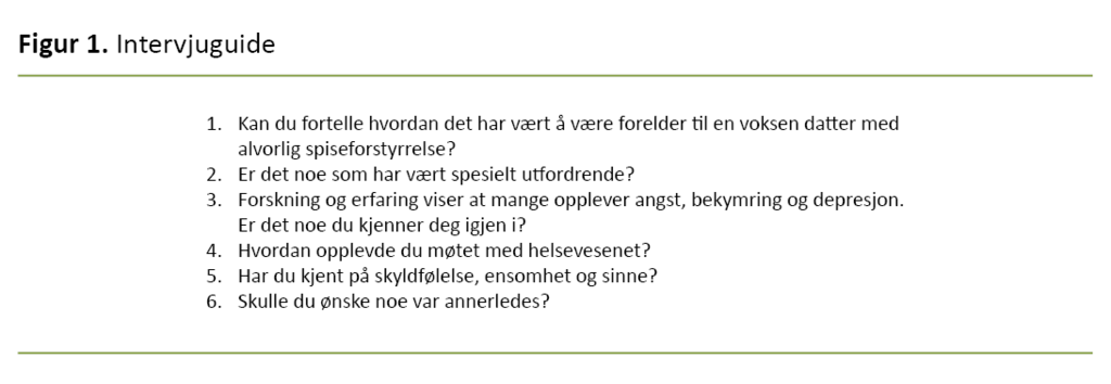 Figur 1. Intervjuguide