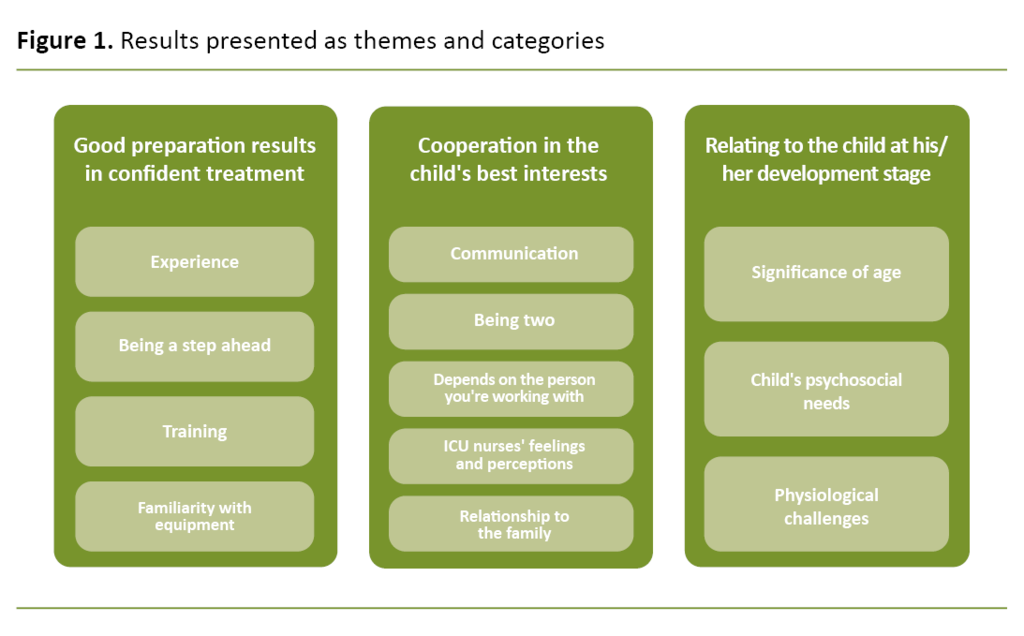 Figure 1. Results presented as themes and categories