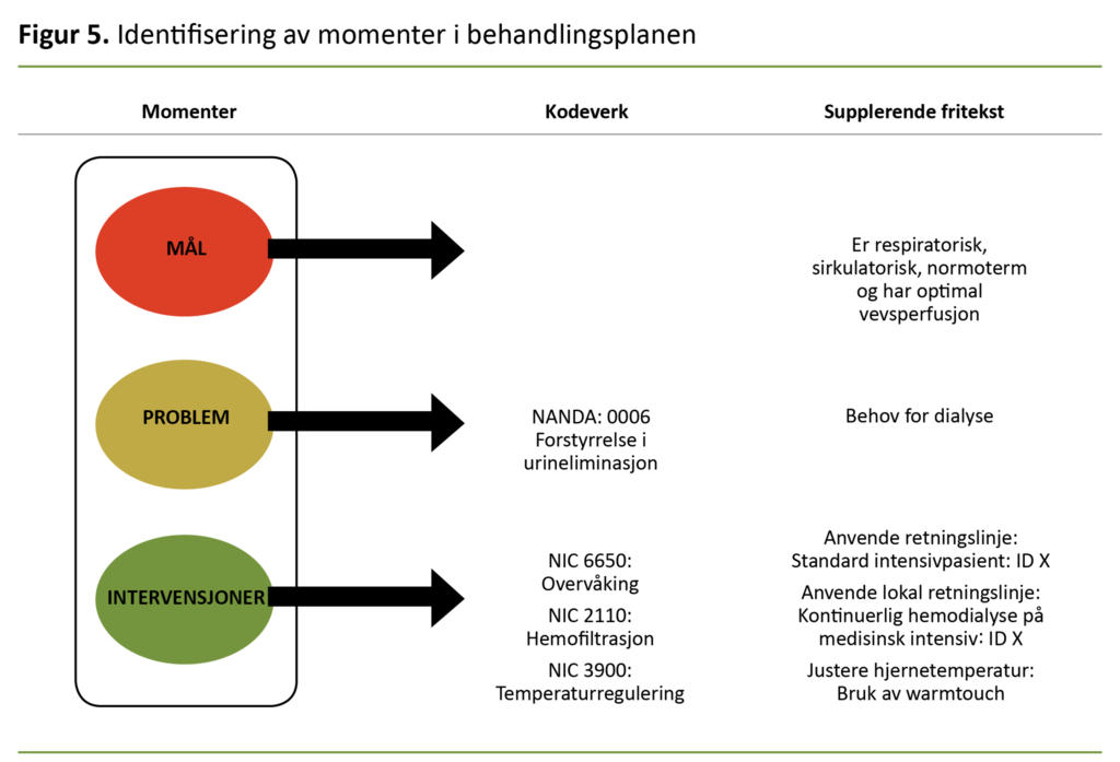 Figur 5. Identifisering av momenter i behandlingsplanen