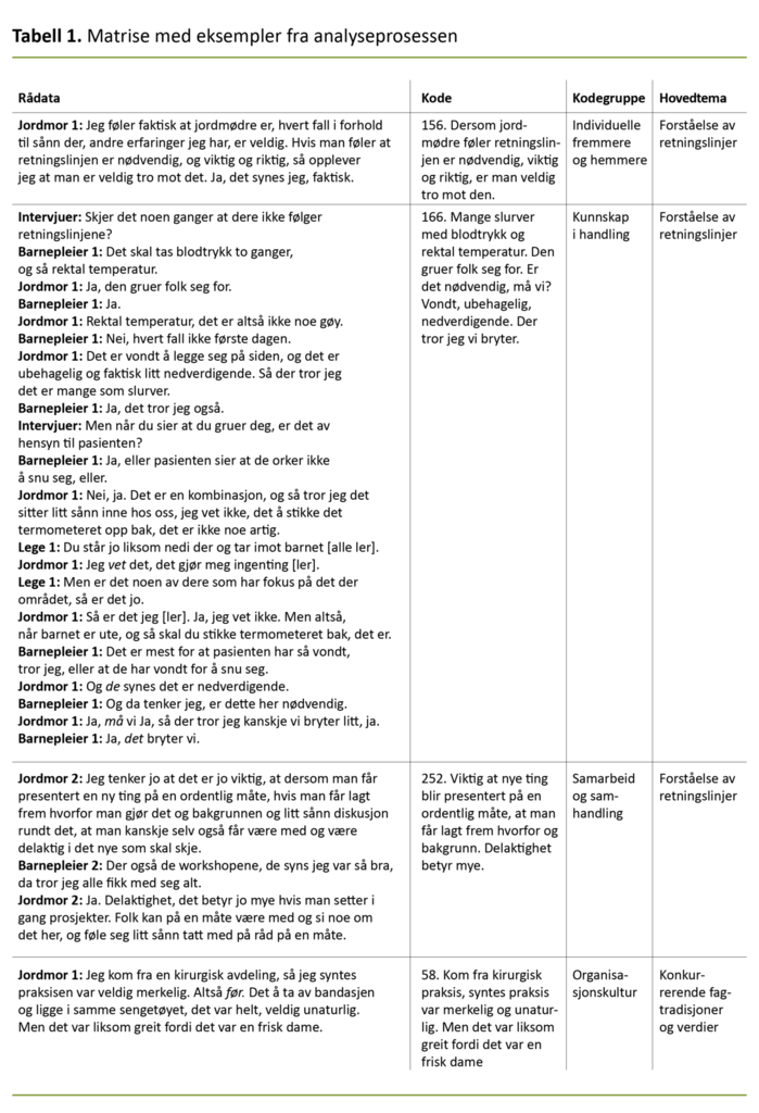 Tabell 1. Matrise med eksempler fra analyseprosessen 