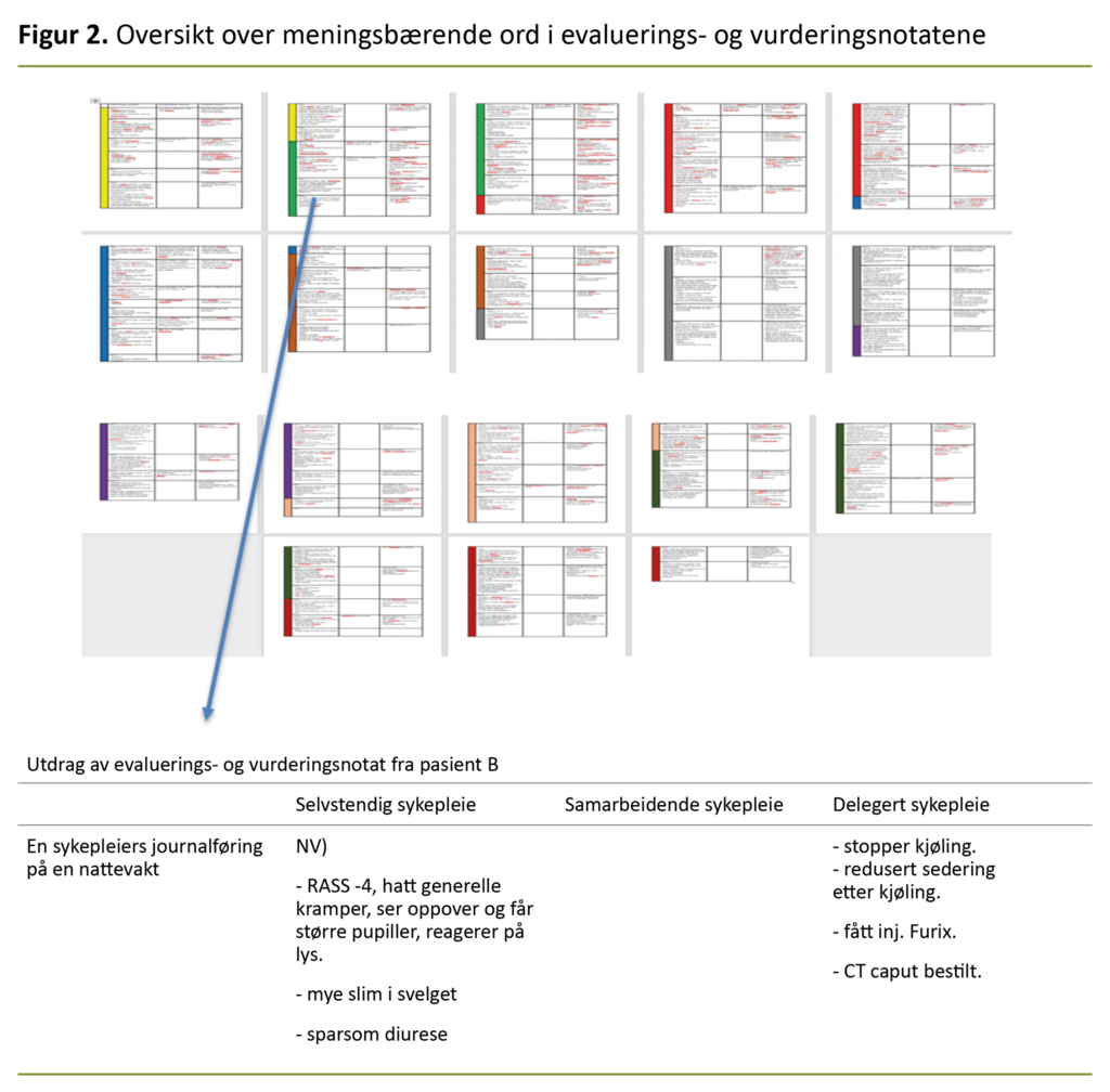 Figur 2. Oversikt over meningsbærende ord i evaluerings- og vurderingsnotatene