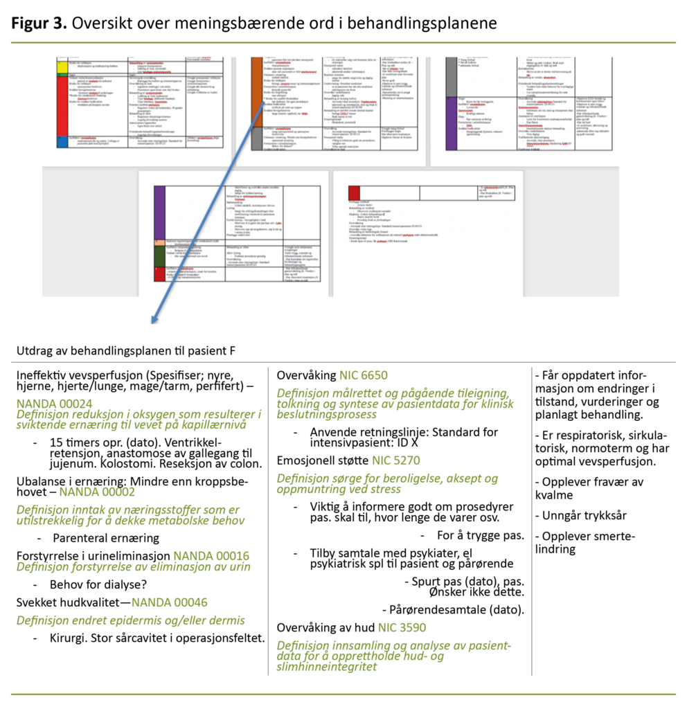 Figur 3. Oversikt over meningsbærende ord i behandlingsplanene
