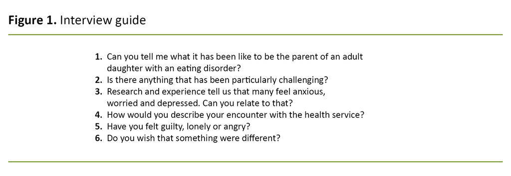 Figure 1. Interview guide