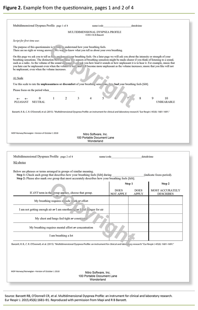 Figure 2. Example from the questionnaire, pages 1 and 2 of 4