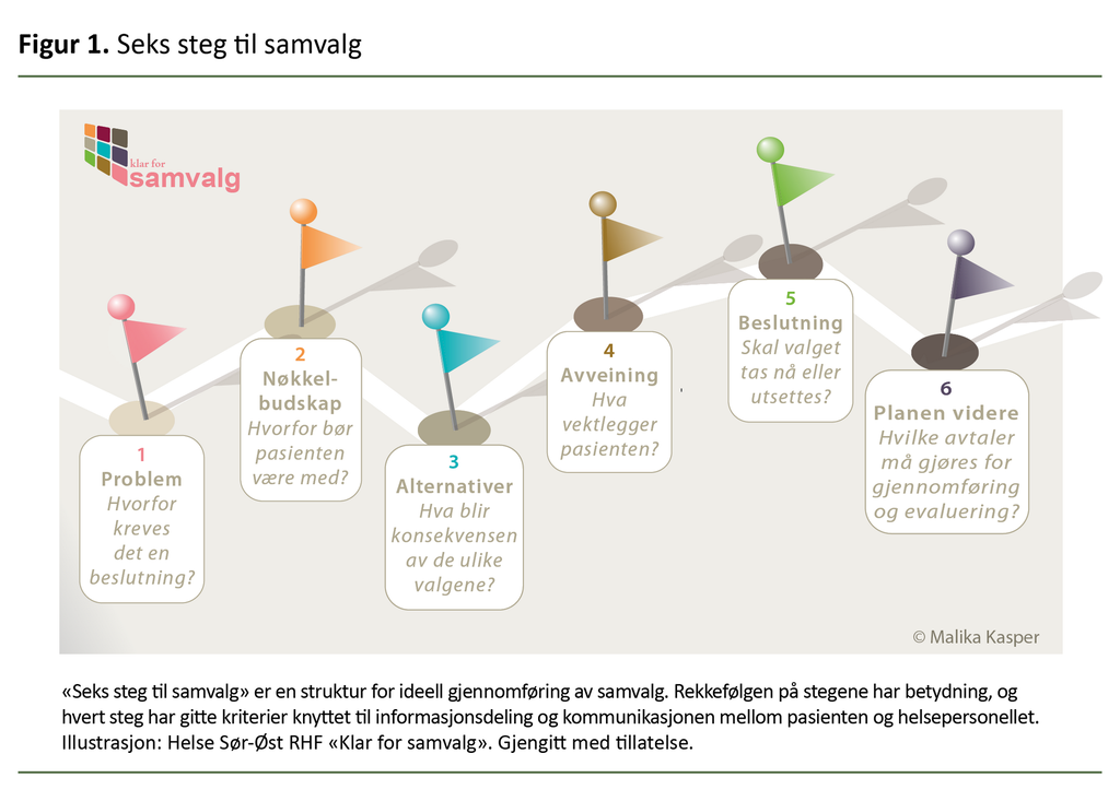 Figur 1. Seks steg til samvalg