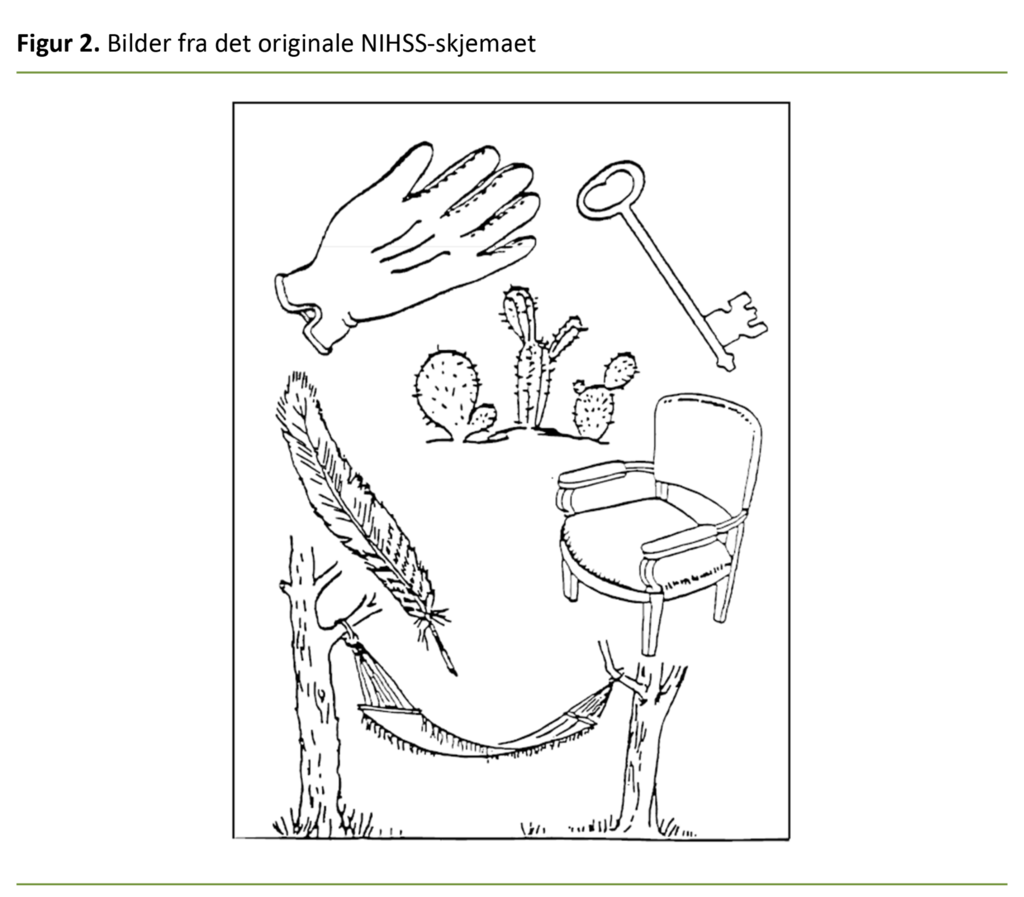 Figur 2. Bilder fra det originale NIHSS-skjemaet